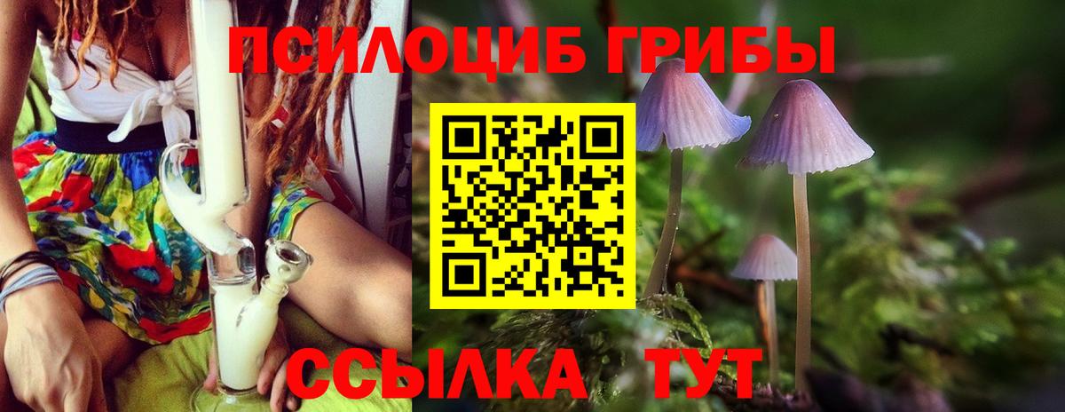 Галлюциногенные грибы MAGIC MUSHROOMS Грозный