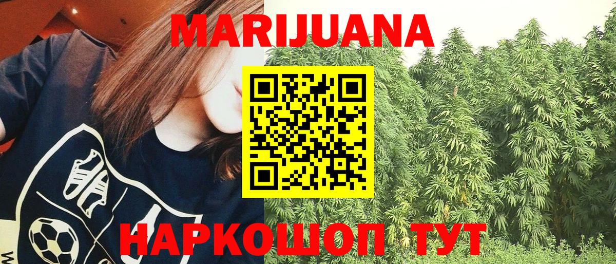 Шишки марихуана OG Kush Грозный